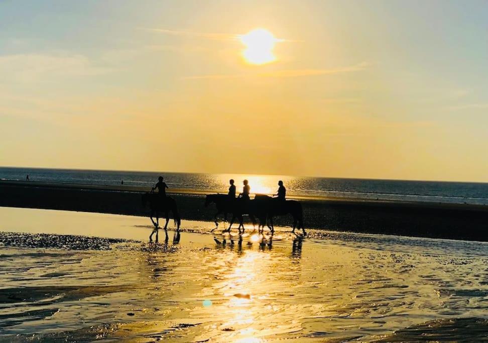 Le Camaieu Deauville Dış mekan fotoğraf